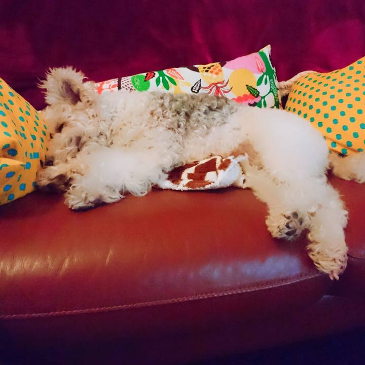 A6cce160 3fbd 48fd a138 20b61f49d0e9 1516375065360