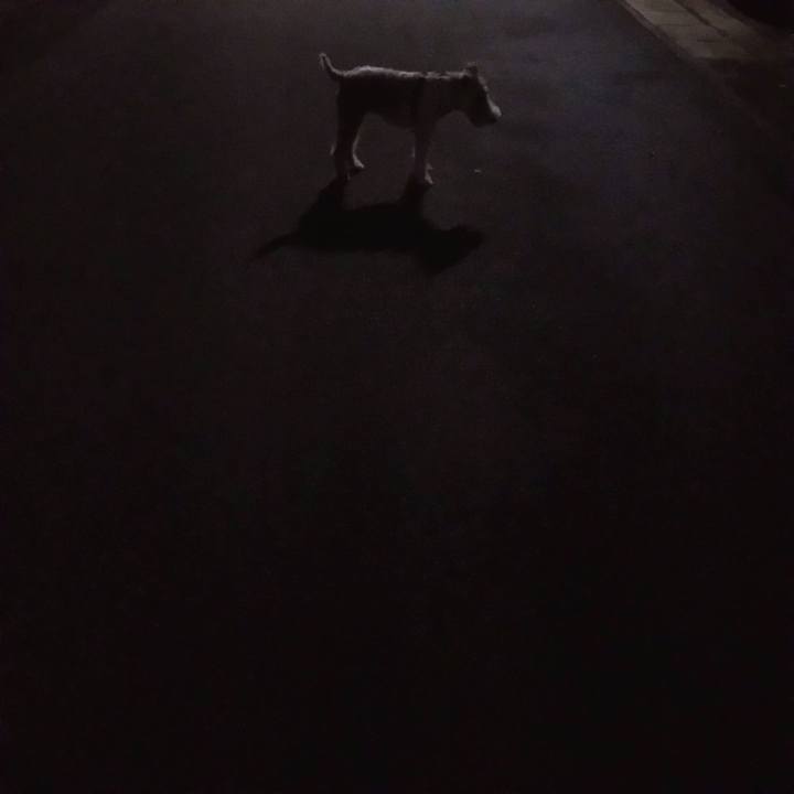 A6cd01e0 0403 4e76 b3a2 581ccbc3fa9f 1599229929736