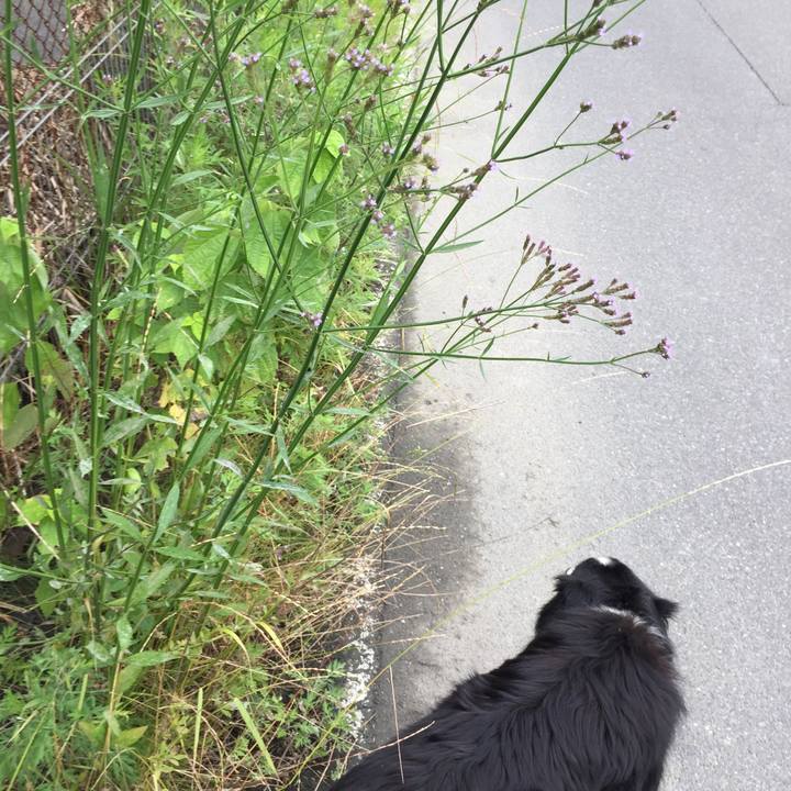 A6cd3554 6582 44cc 8c6f c53c3acfe01a 1528844912393