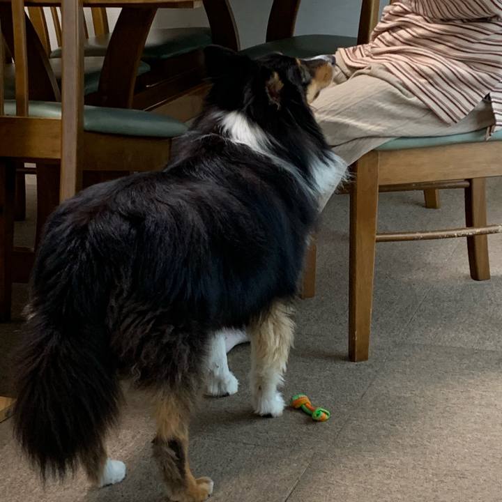 A6cd362c 2e0b 4f99 a632 0bfa2855e3a8 1560640026096