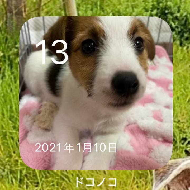 A6cd3b23 54be 4977 92ae 48e26245fe71 1705138238234