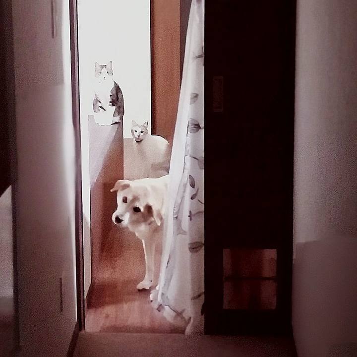 A6cd974e 3dda 4edd 8dea 905bf44f1f47 1620514845483