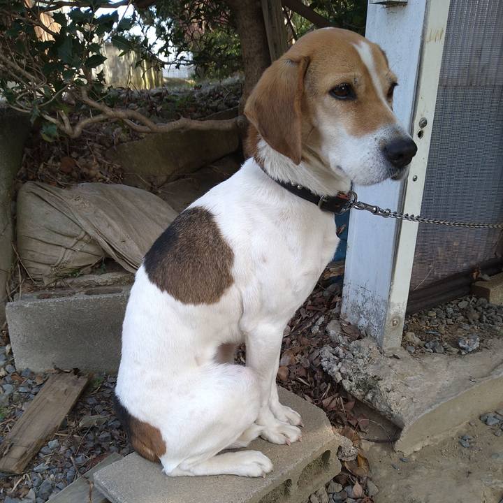 A6cded13 aee1 44d2 b2c2 5c9ecbe8fa9b 1644647348194