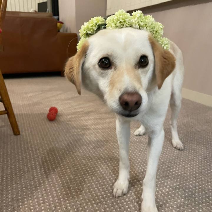 A6ce0468 0c7f 43d7 b8c2 c6cbb9ba8891 1647265785531