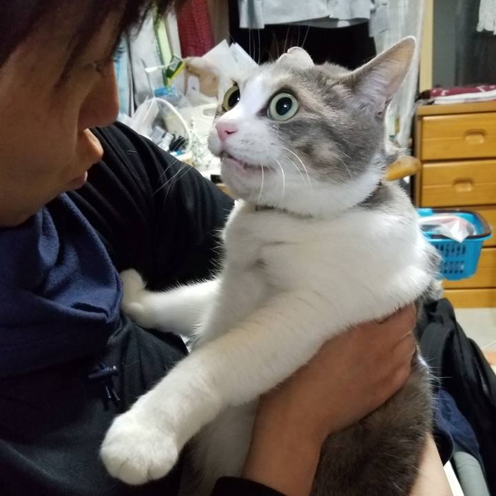 A6ce0f89 75f4 4f3d 9fe8 a2a42a868dff 1619793406255