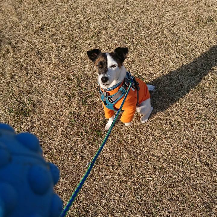 A6ce2c34 5024 416f 92aa 53fc3d134128 1607835898532