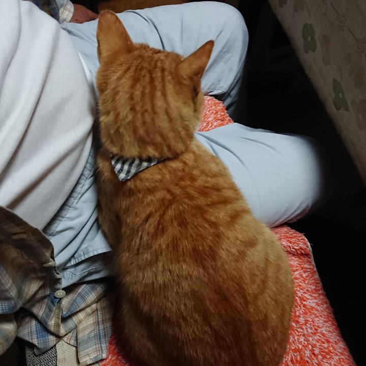 A6ce33df 008f 48e9 9f98 d51773dbc110 1569492222915