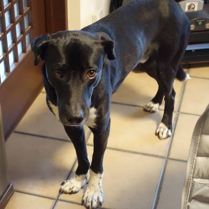 A6ce41b8 147a 4b45 a243 b7364d5121fc 1581728641810