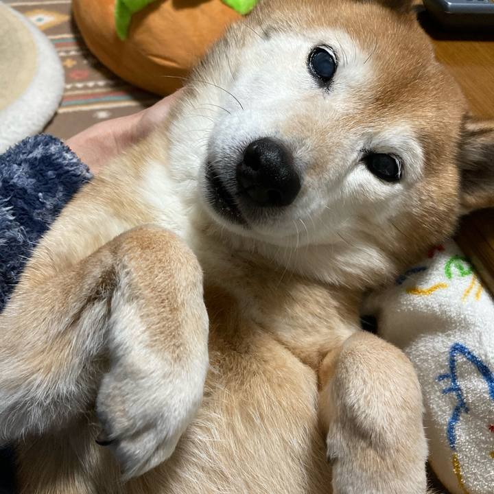 A6cebad2 e6c6 4869 a0ef 00dbc2e3159e 1739022083872