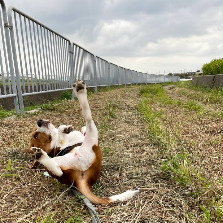 A6cebf6b 83cb 4b64 9be8 54bfddcabc25 1631151315646