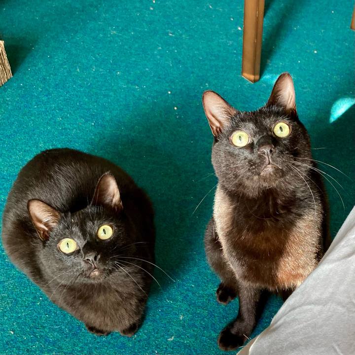 A6cee579 534f 45c9 9cf2 d5934ed7acfe 1709429202011