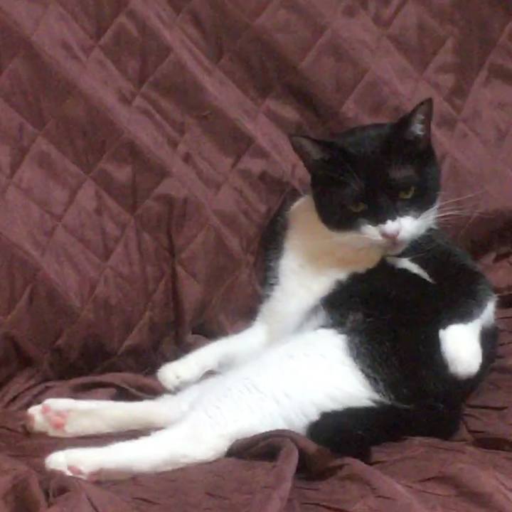 A6cf27fc 35e1 4ee6 8d82 1139b1f6382a 1561387680446