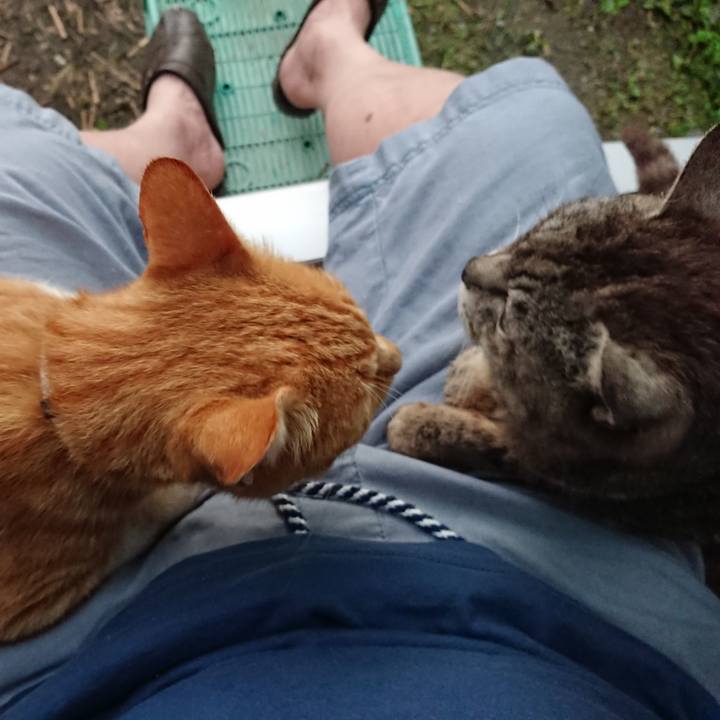 A6cf57f5 55b6 4544 a1ca 116f983edde2 1596140393671