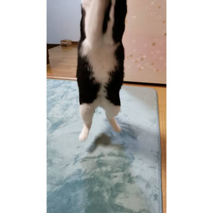 A6cf6669 c00c 42ab bfd1 967ee4d0c43a 1637208153598