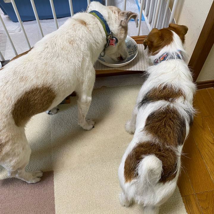 A6cf68c1 9c14 412b 9992 68d32f1dc83d 1722133479863