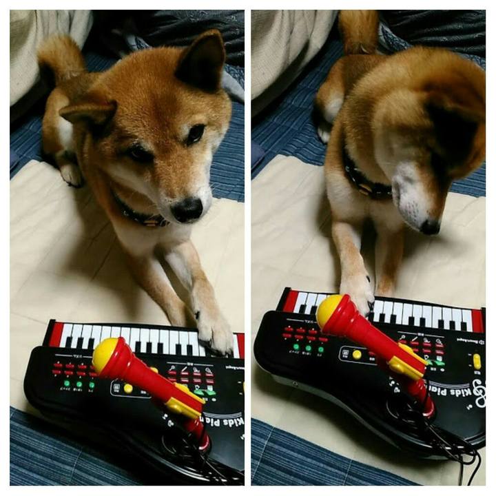 A6cf9afc 3706 4492 9e1b 2ff3b7dd674f 1565531884601