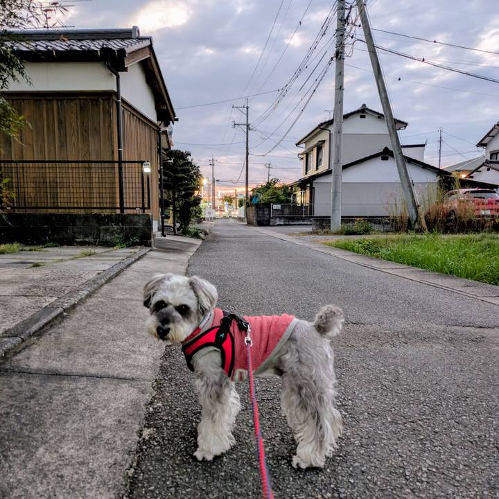 A6cf9db6 a3db 4af3 9c94 d544bc98ebb1 1761309258004