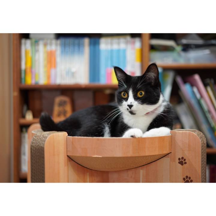 A6cfb483 7687 422f 8a41 e8163ca8f391 1625491317504