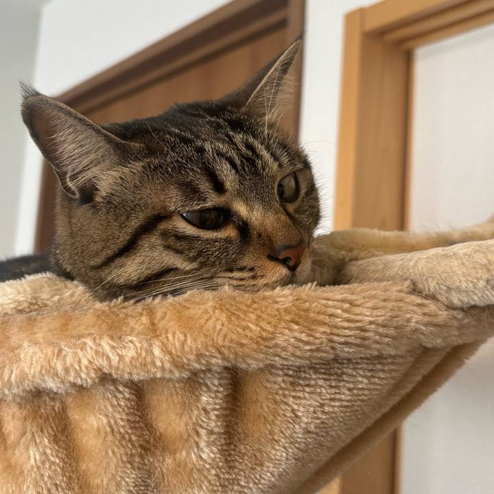 A6d01011 3c96 4d3d ab79 920c8d047f76 1767836884463