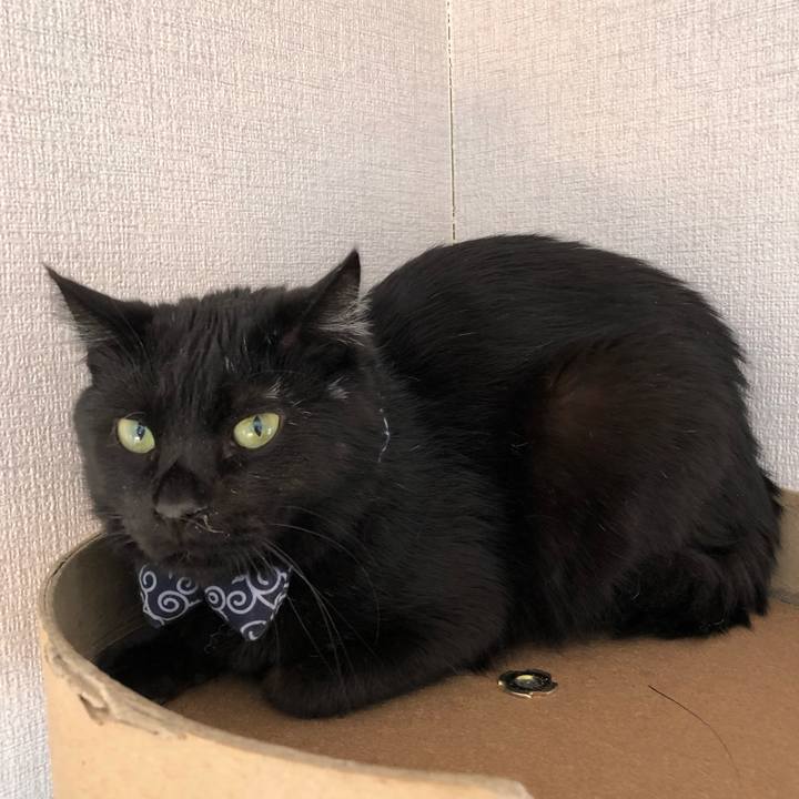 A6d02dd1 8b5f 43be 8cf8 49e6f5a45a31 1553588250943