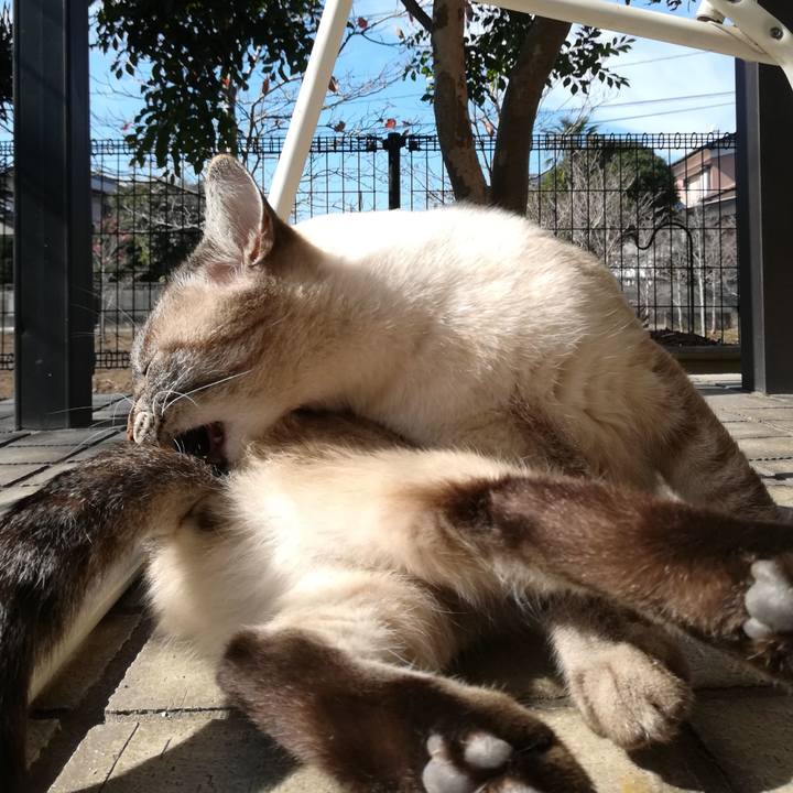 A6d0683a 271a 47d0 bf25 12c20da4617e 1541904617501