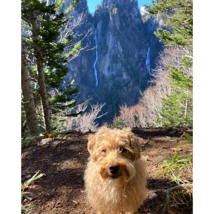 A6d0785e 31ce 40fc 83bb c64f9843890e 1635562211476