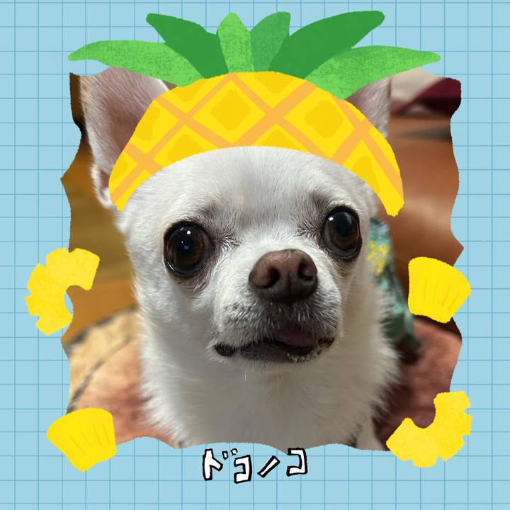 A6d09a0c 546d 4393 9be3 d31188a8cfa4 1783307642309