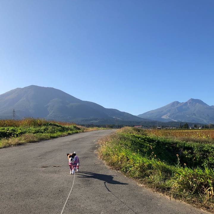 A6d0dd83 3792 4763 bbf0 f94a1875acf7 1570623184927