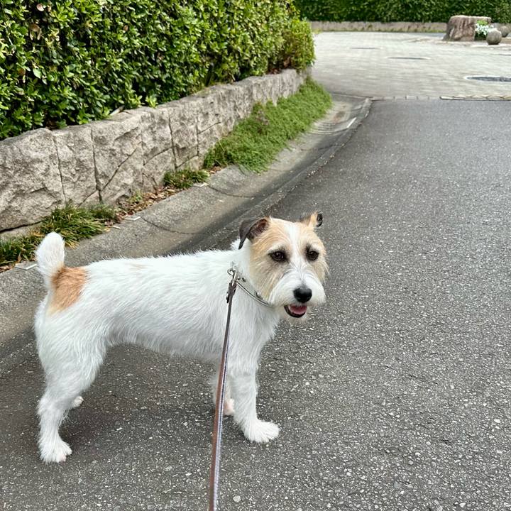 A6d10468 d76e 4fc4 b757 6aac3e7ead8e 1752388846195