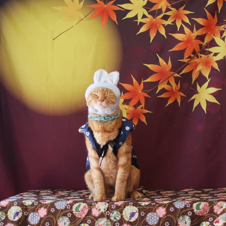 A6d13b4c 0d9d 44ca ad66 53956c4aeacd 1757857356583