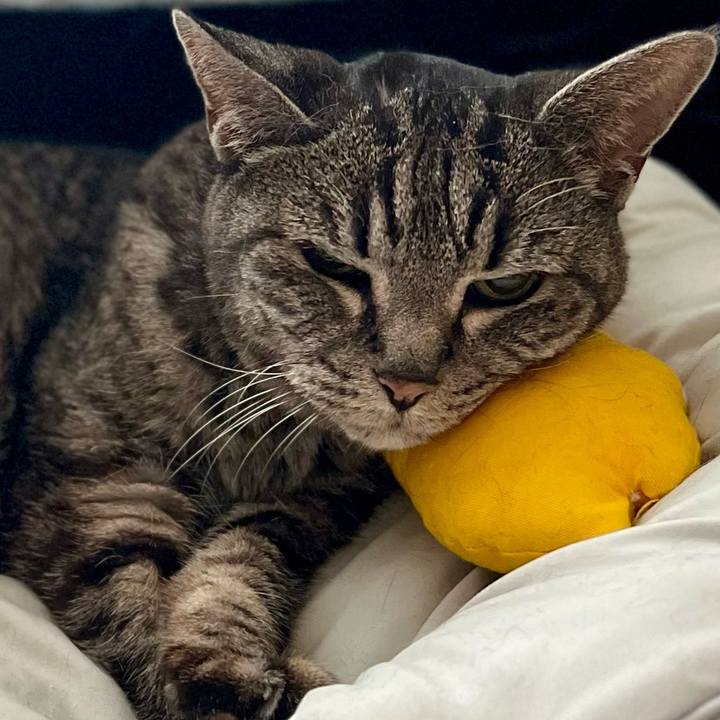 A6d141f7 3071 436d b4b1 c9363aad6f0f 1758369879144