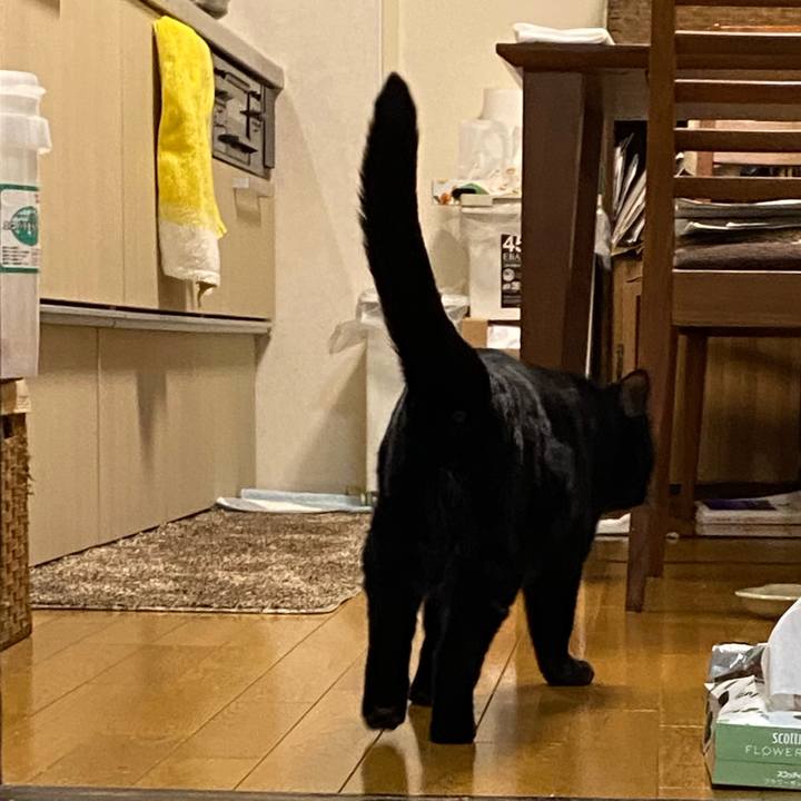 A6d14a5d f568 4314 82cb 862192ce0bff 1639828220369