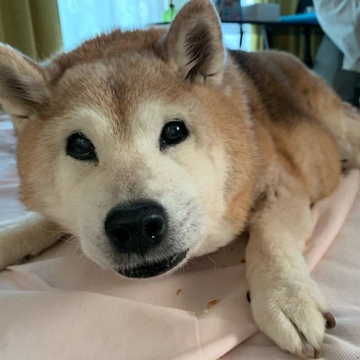 A6d15a75 576c 4da8 8ed1 4810d08631ca 1686922356662