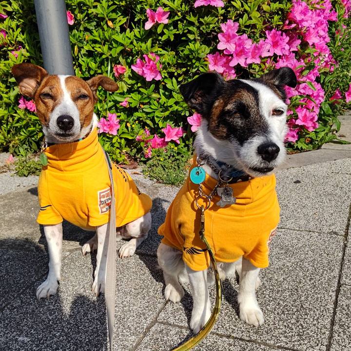 A6d16705 745b 4894 bb60 10423fad4b9d 1681947312515