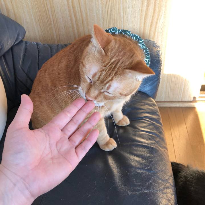 A6d16bf9 16b7 45e2 8532 425952d8ec71 1554155366981