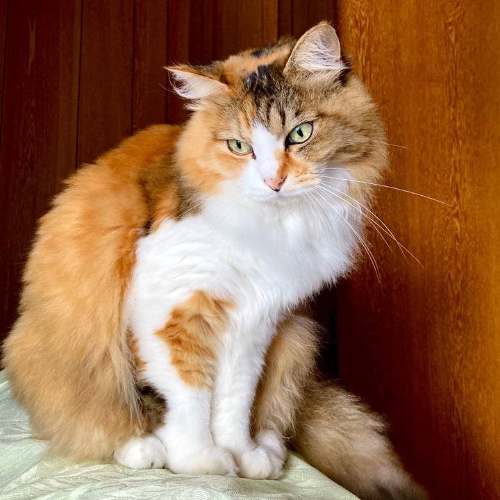 A6d17417 c81b 4344 952a ce0c9709941a 1633319024550