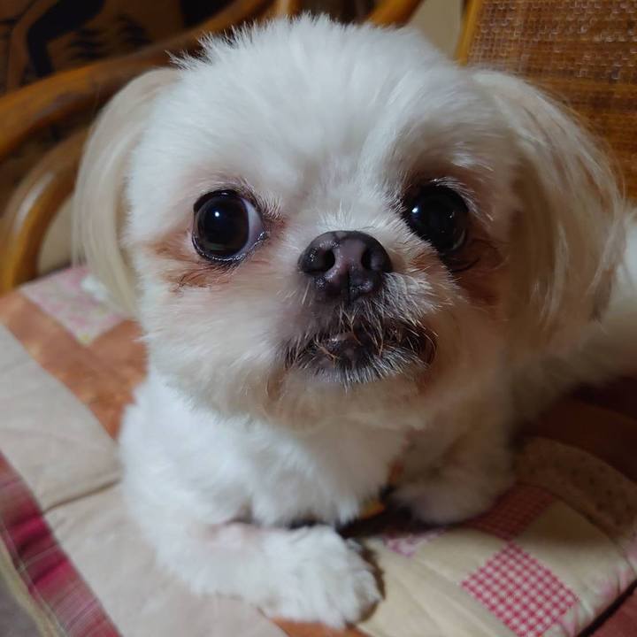 A6d18d70 06d1 4035 a8b4 94404b955601 1630882562578