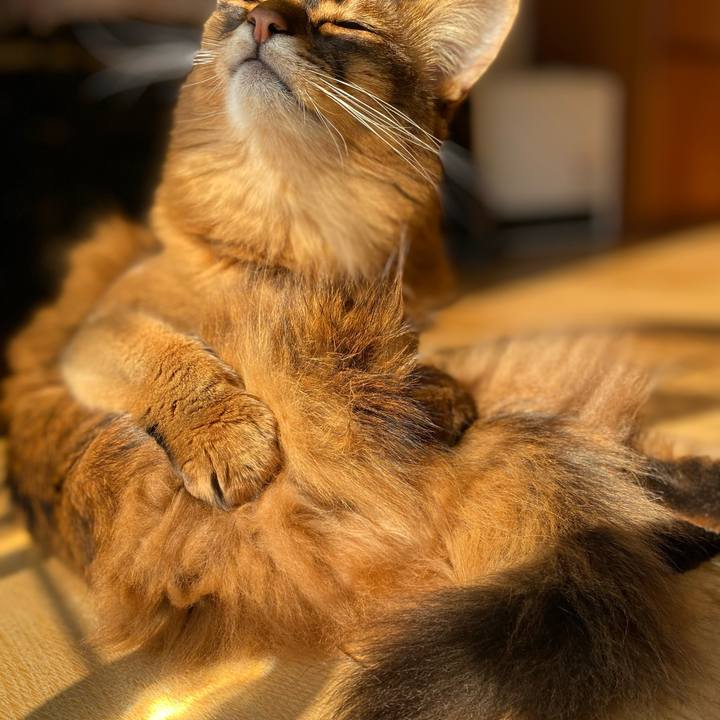 A6d18e9c 6e70 4427 8962 690ef0ac150b 1673505146804