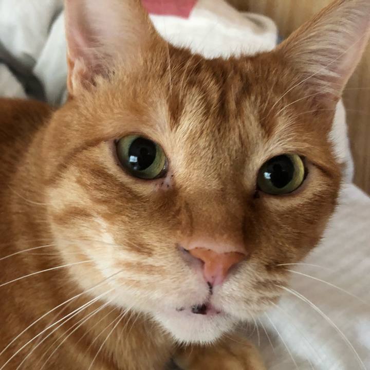 A6d1fbc7 4ca9 44b2 8c61 6797135afcac 1583532897842