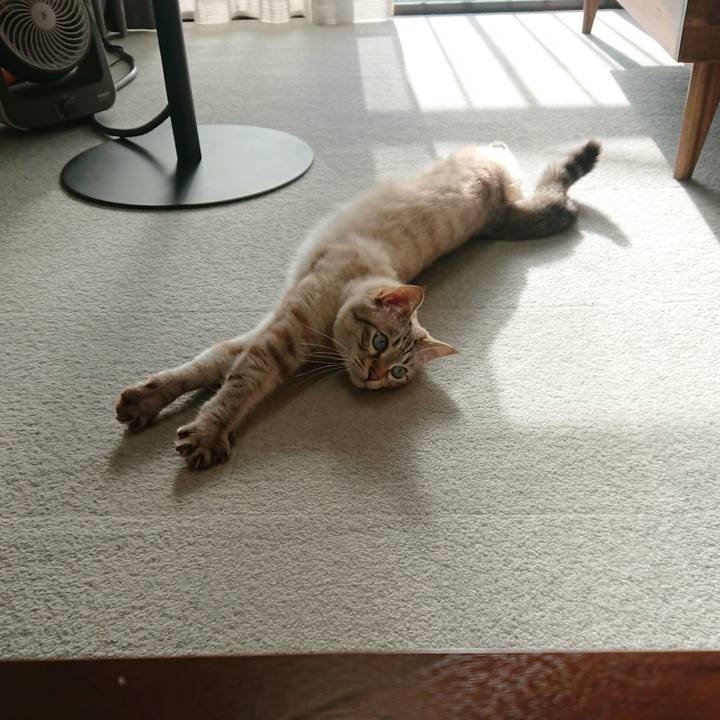 A6d2037d 6a16 4ff3 b385 0797d1d4f0f4 1599377768132