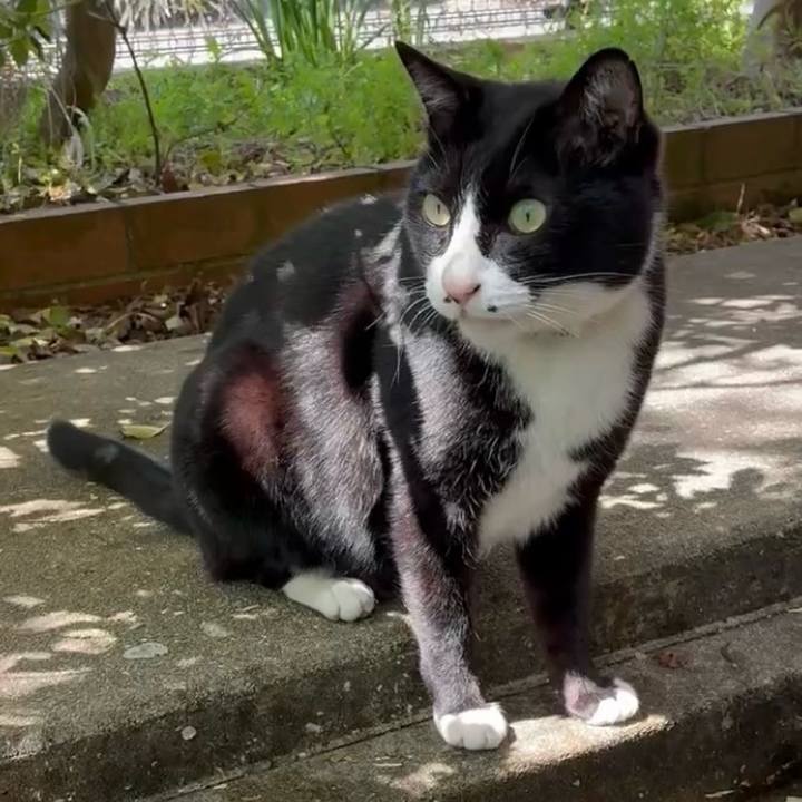 A6d219da 8a03 4b0f 912d 60bea2643557 1744167903893