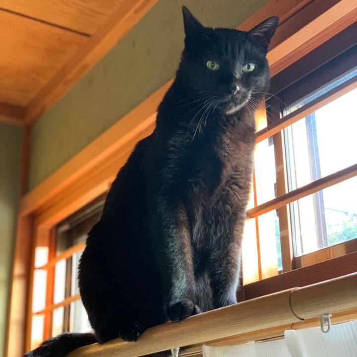 A6d25f53 adf4 49e8 a27d 316385aac695 1584573538435