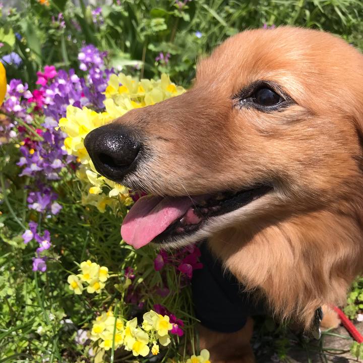 A6d27a7b 6c35 44d5 bbd0 4c968baa8d05 1585974470643