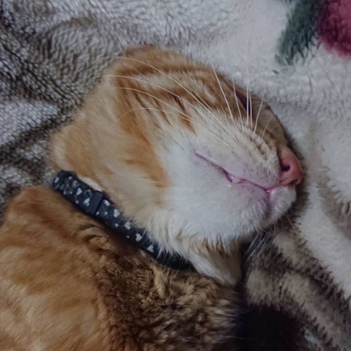 A6d27f76 dc4a 4f0f 81dc 6e3bf7097985 1646658532099