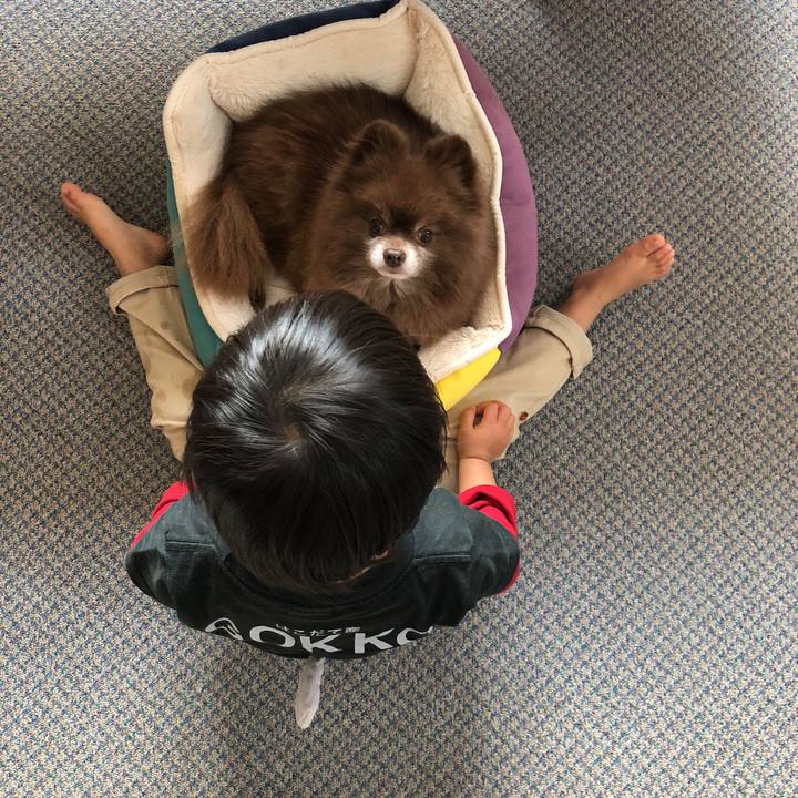 A6d2a9f0 0745 45b9 909c ac6c37b806e0 1542930440838