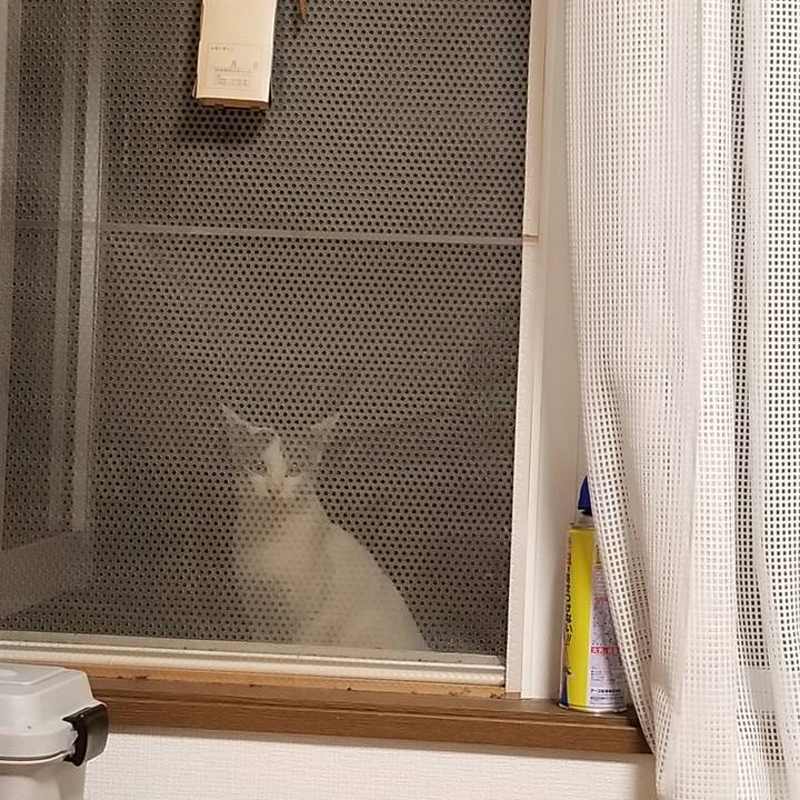 A6d2b0f1 c4f2 435f 9fe9 1a2fbd46b768 1627639409190