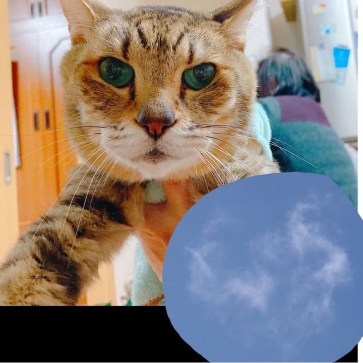 A6d2d5f3 63f7 46d7 840f 0972d1a22773 1643946581149