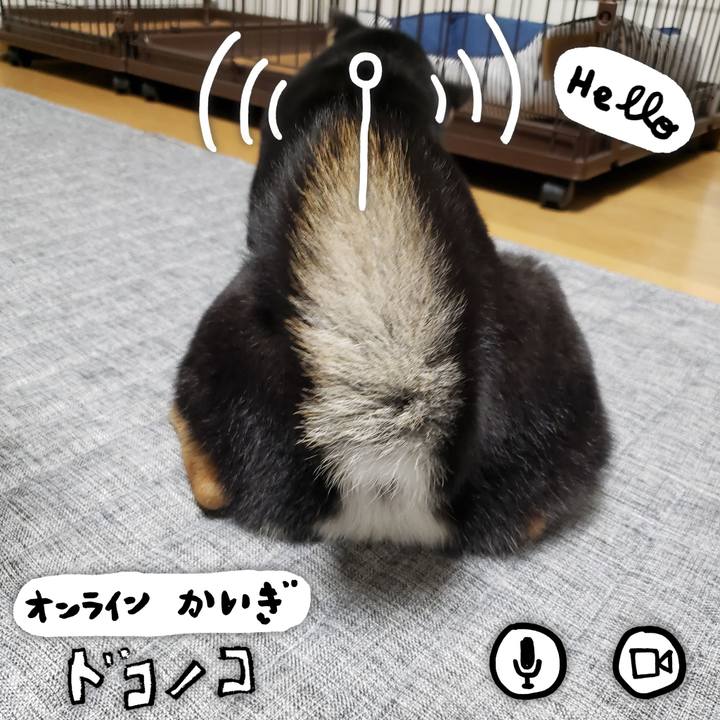 A6d2e020 6228 4816 9ca5 76ee767ff791 1590713225382
