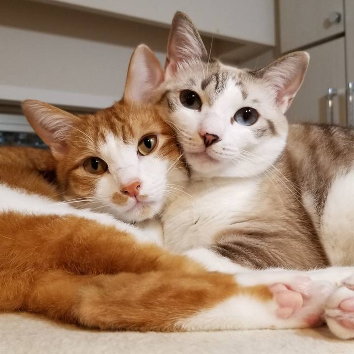 A6d2e3d3 ed7c 4f05 9bd7 2824be1fb212 1538409158114