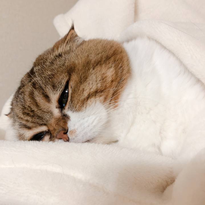 A6d2ec32 fbac 4f5a b21f 49b88d46468e 1576421674083